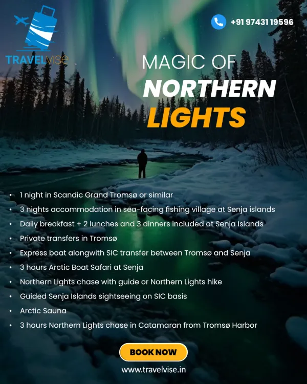 Northern Lights Magic